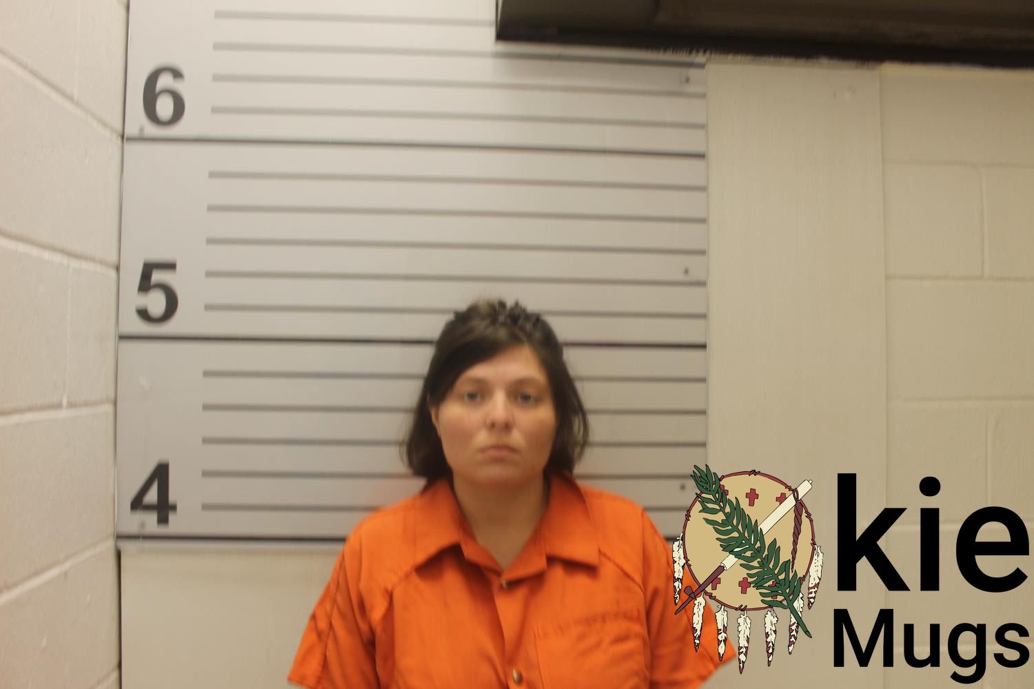 Booking photo of SARAH N LAYTON