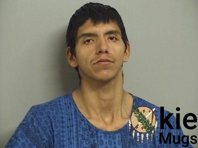 Booking photo of PICHARDO, RICARDO ERNESTO JR