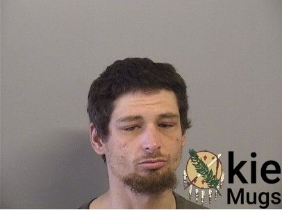 Booking photo of DRISKELL, ANDREW
