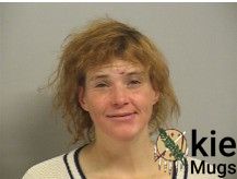 Booking photo of GIBBS, NICOLE