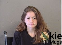 Booking photo of TANKERSLEY, MADISON