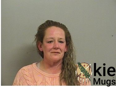 Booking photo of TIPPIN, JESSICA LYNN