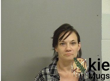 Booking photo of SHEETS, PAMELA JO