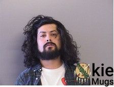 Booking photo of GONZALES, FERNANDO JR