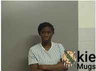 Booking photo of GRAVES, ERICA RENEE