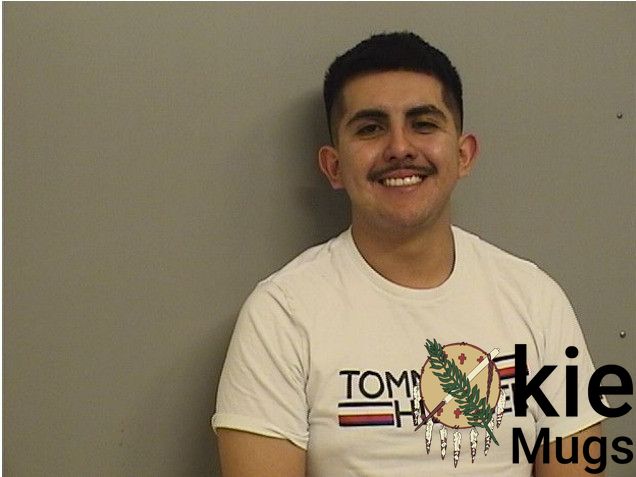 Booking photo of HERNANDEZ, LUIS