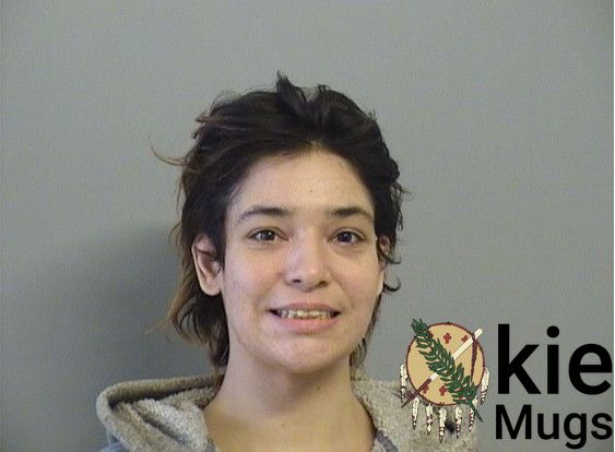 Booking photo of YOUNG, MITCHELLE MARIE