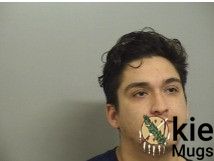 Booking photo of HERNANDEZ-ANAYA, GUADALUPE