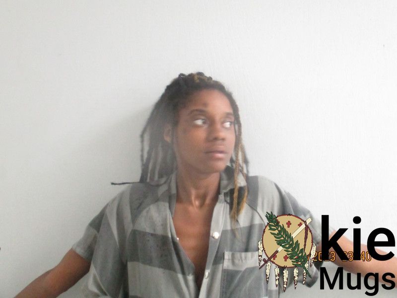 Booking photo of SHANDELL BROWN