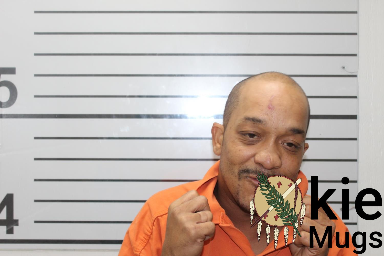 Booking photo of SHANNON KELLY