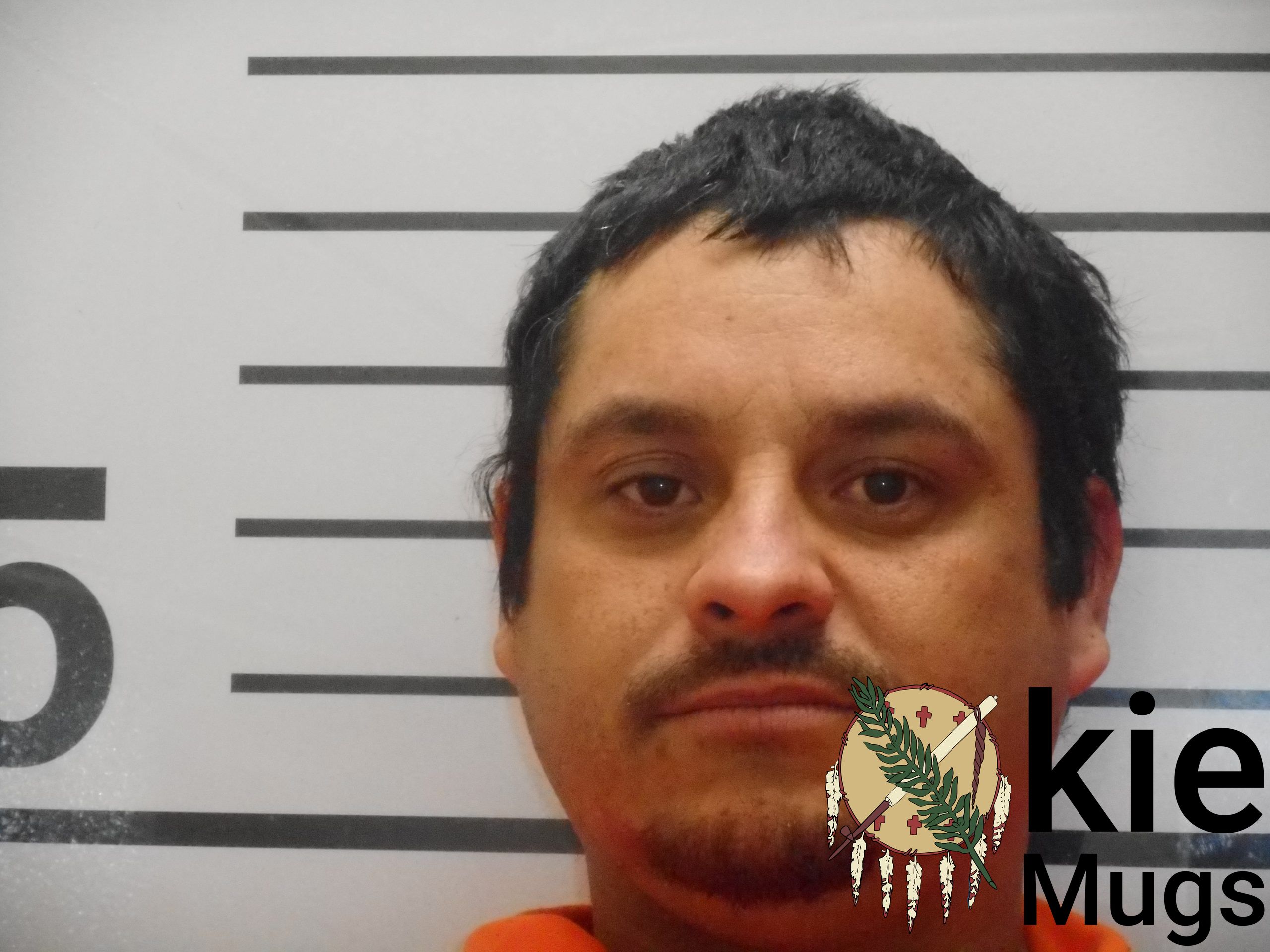 Booking photo of SHAWN ALAN SANDY