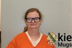 Booking photo of SHAWNA LANIECE LEE