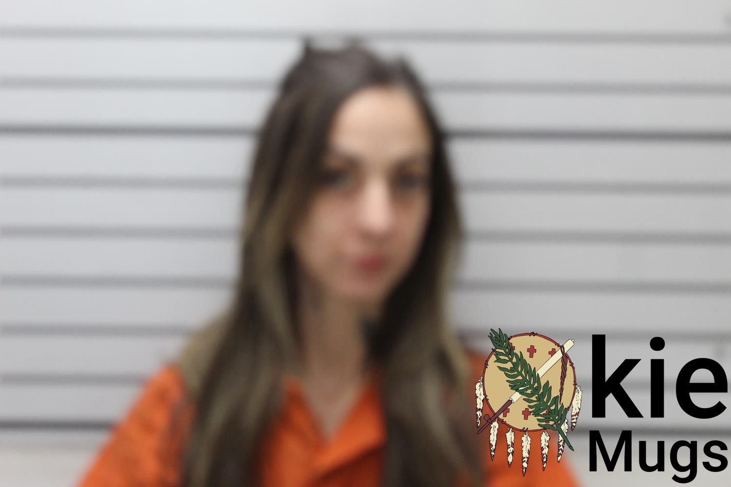 Booking photo of SHAYLA NICOLE TURNEY