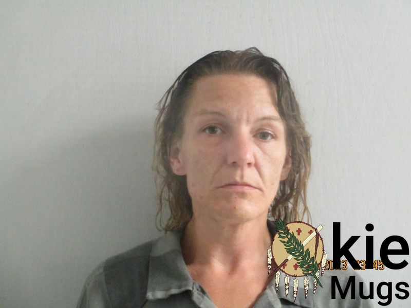 Booking photo of SHEENA FIDLER