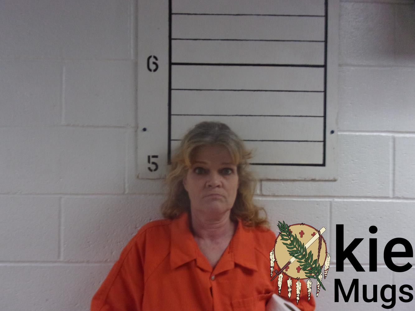 Booking photo of SHEILA ANN ROBERTS