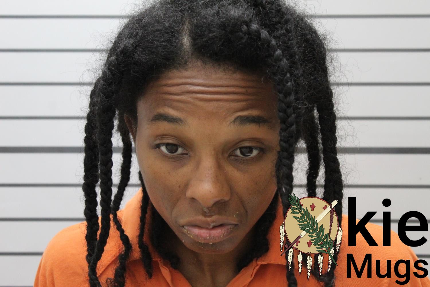 Booking photo of SHERRI LUCILE-LYNNE LANG