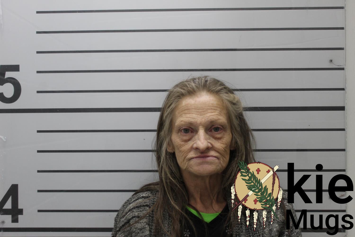 Booking photo of SHERYL ANN PARKS