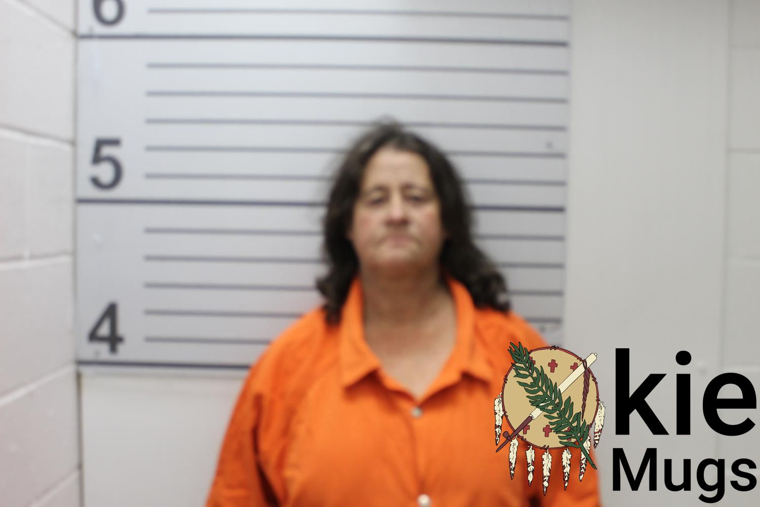 Booking photo of SHIRLEY ANN HOLMES