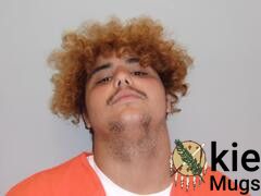 Booking photo of SKYLAR D REED