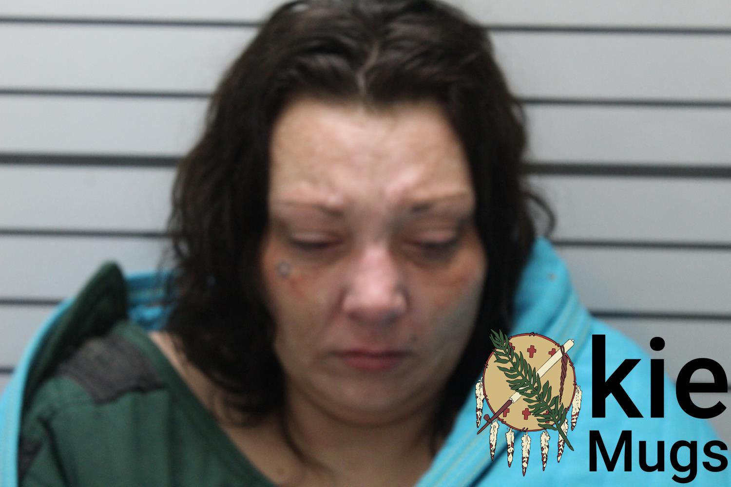 Booking photo of STEPHANIE LANE