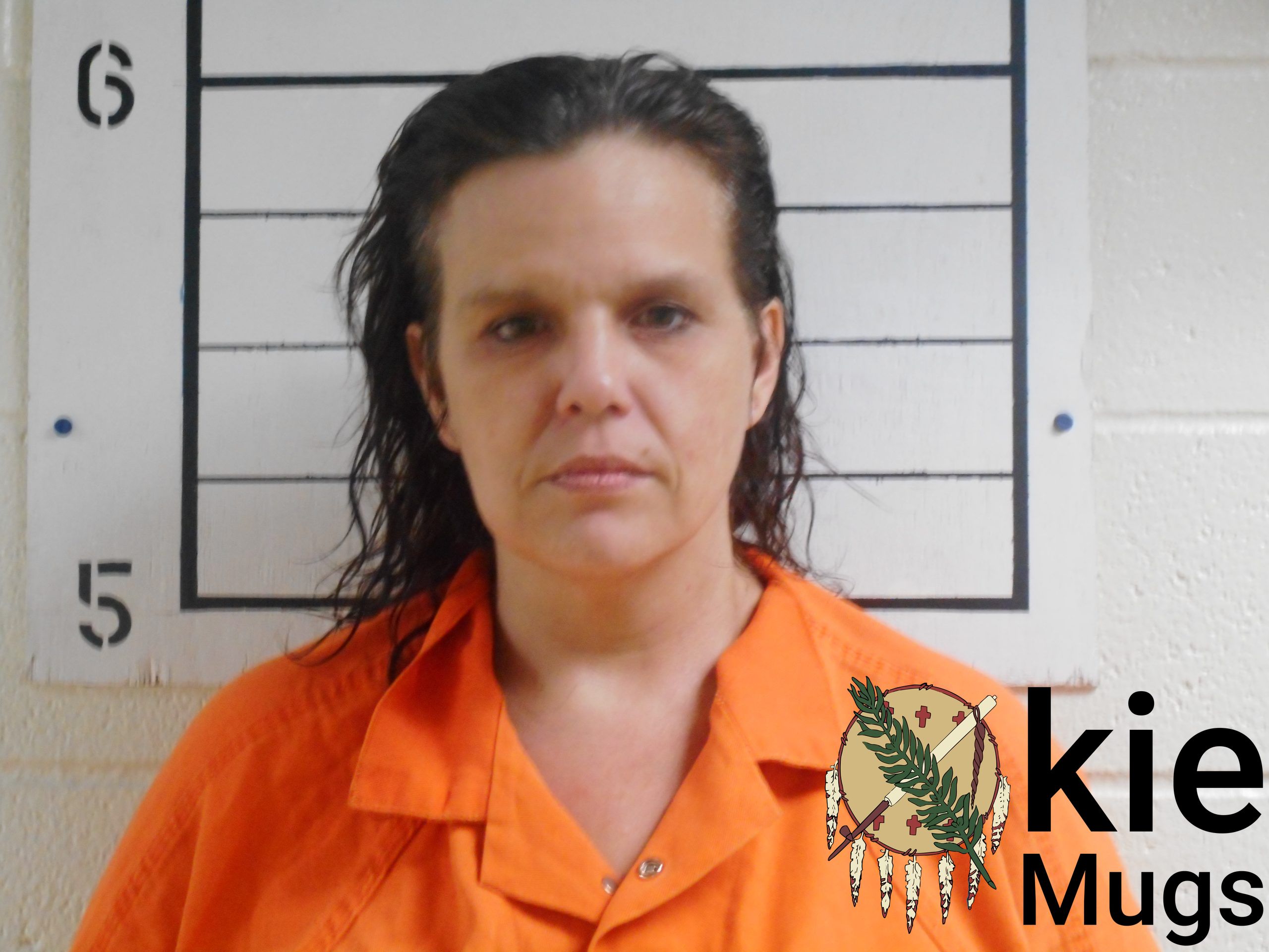 Booking photo of SUSAN LYNN SMITH