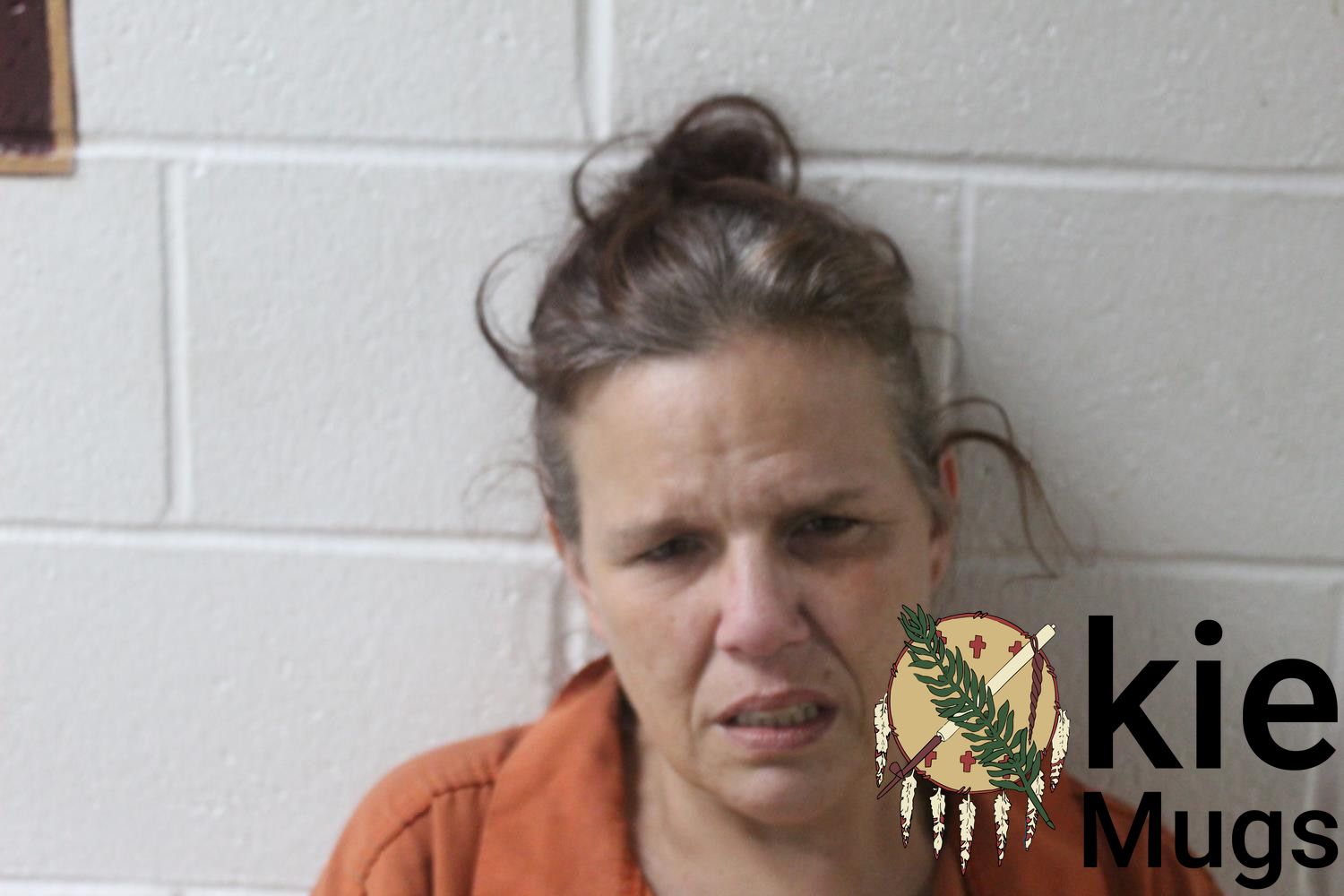 Booking photo of SUSAN LYNN SMITH