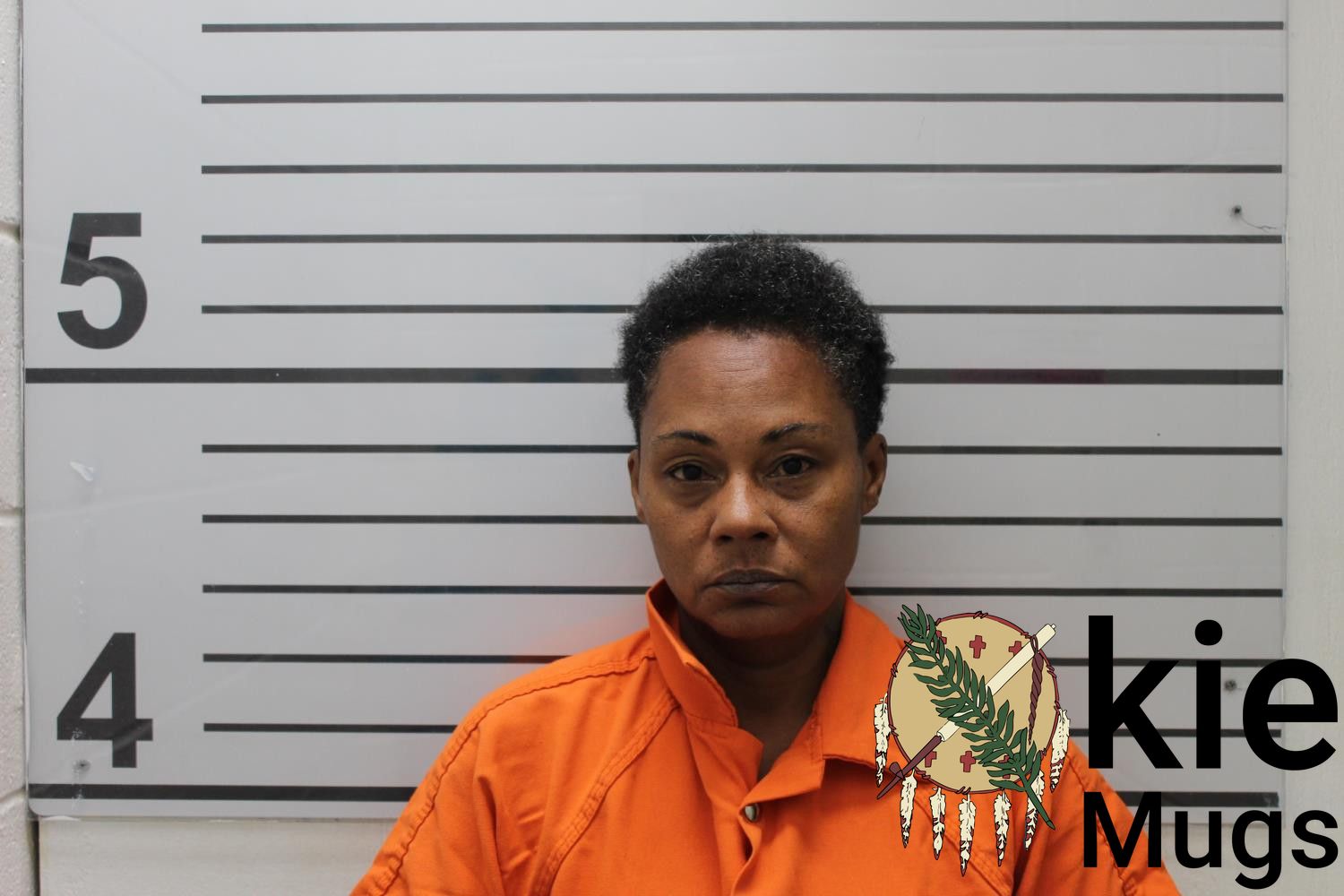 Booking photo of TAMICKA ROSHONDA BROWN