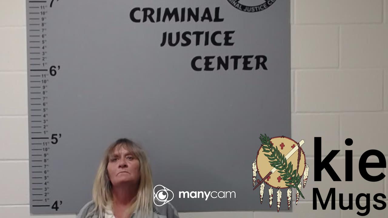 Booking photo of TAMMY ANN LOVELESS
