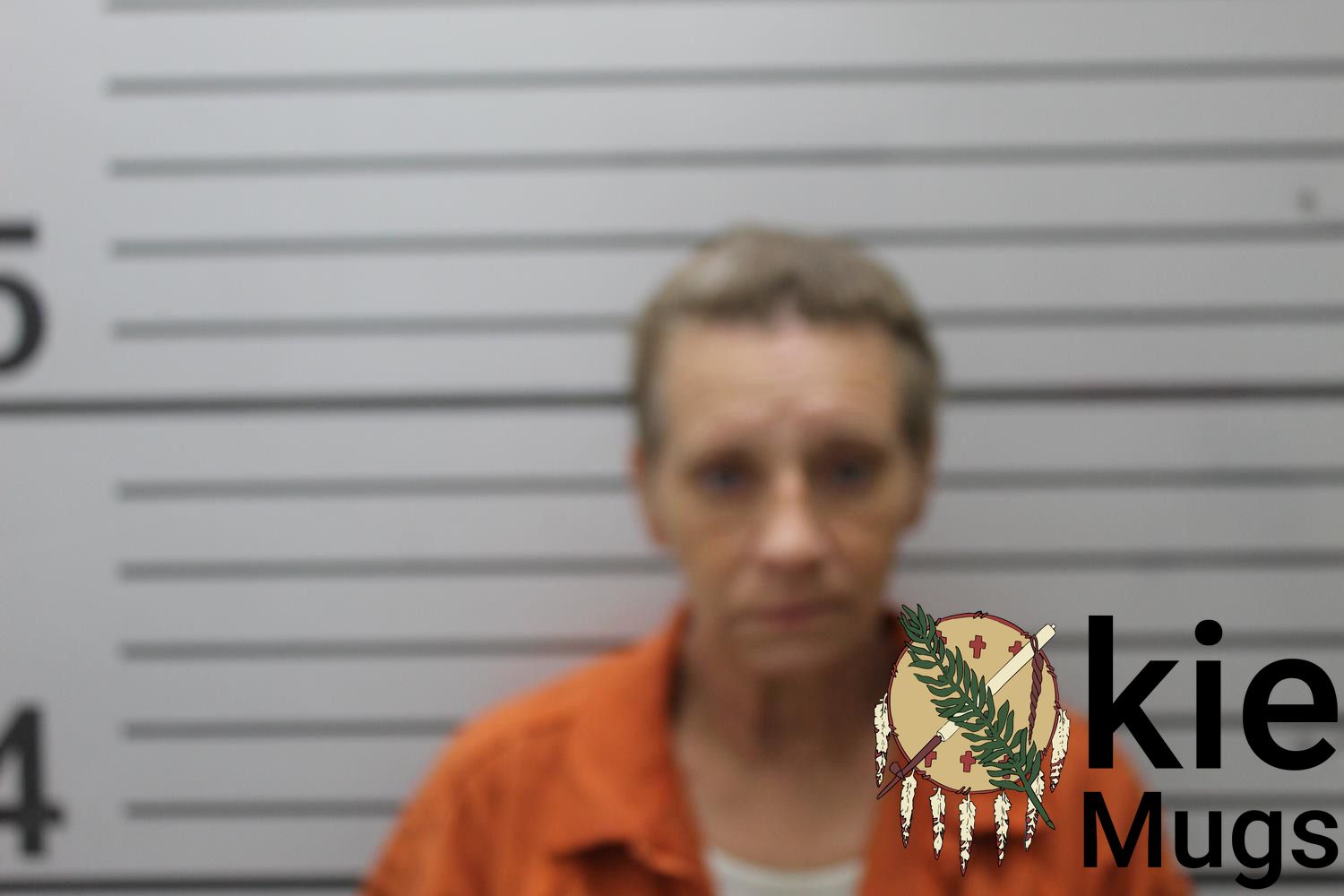 Booking photo of TAMMY LYNN KOVACS