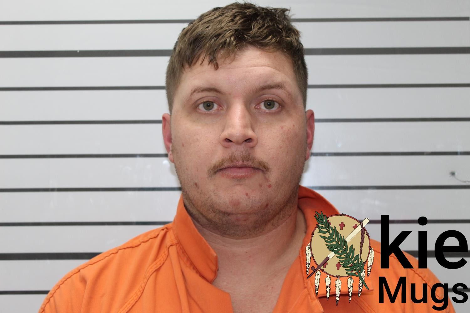 Booking photo of TANNER LADD SHEET