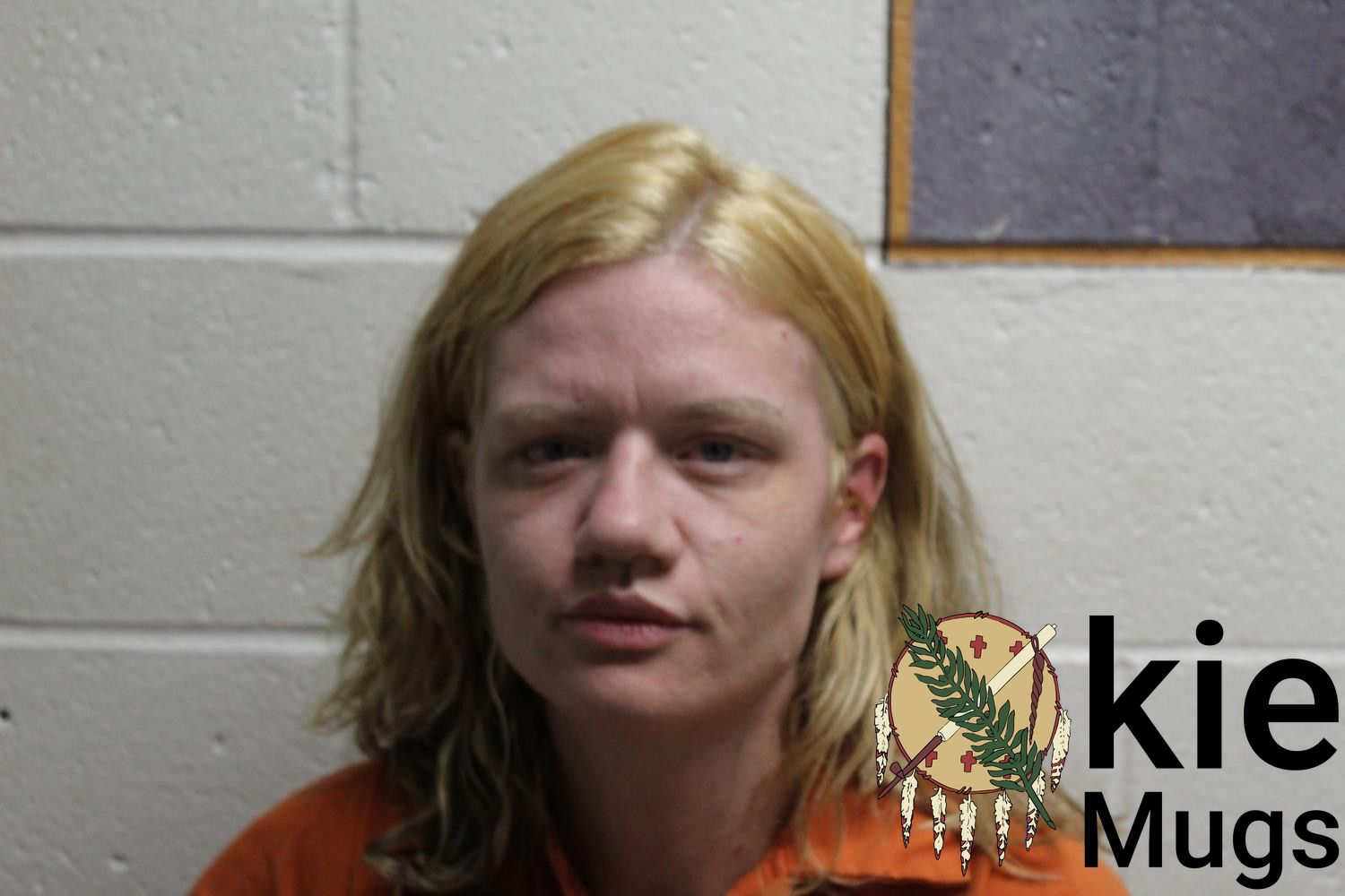 Booking photo of TAYLOR B (CHEROKEE) STICKELMEYER