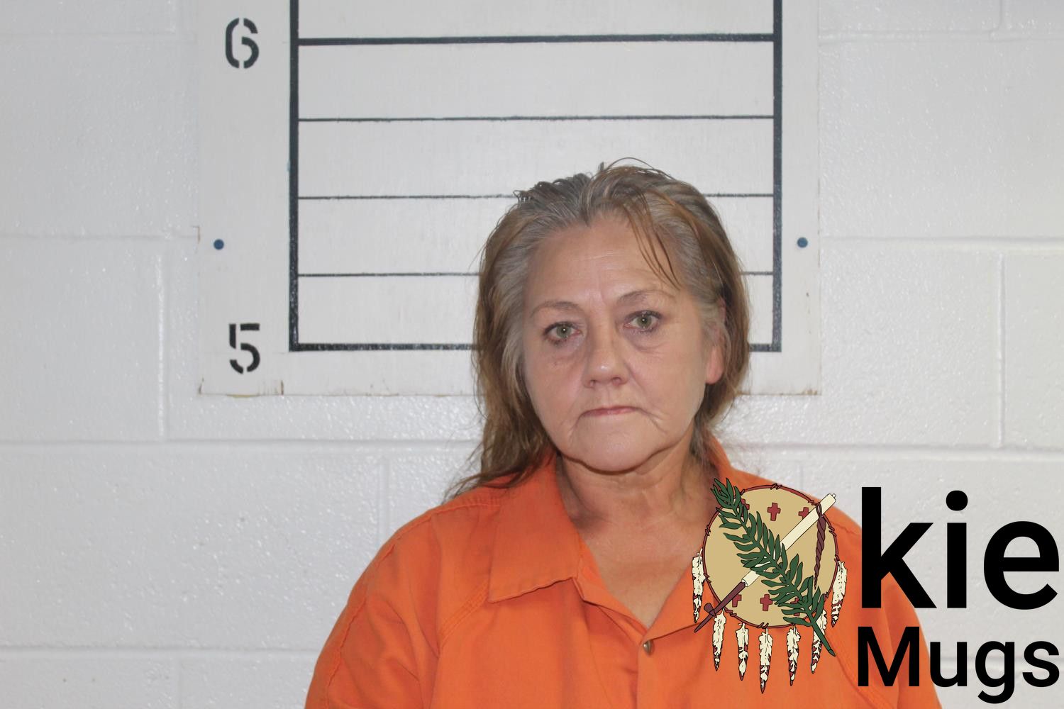 Booking photo of TERESA LOU ROSS