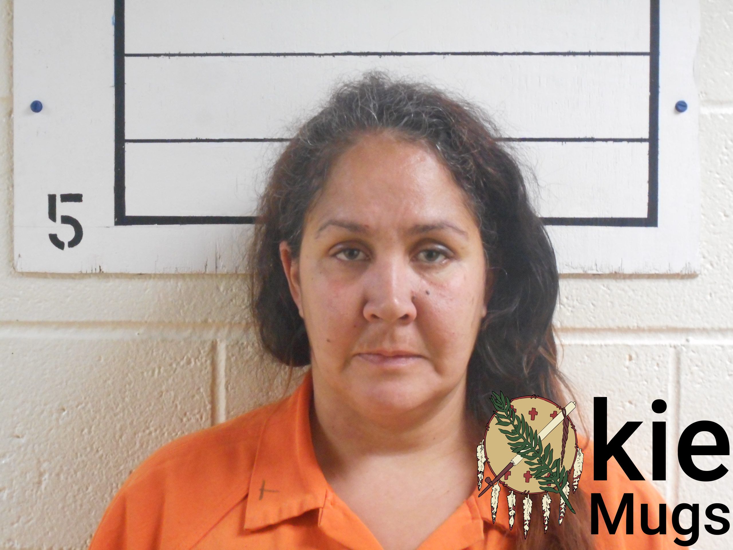 Booking photo of TERI MICHELLE(CREEK) YANCEY