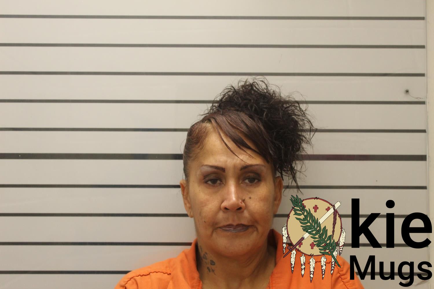 Booking photo of TERI MICHELLE(CREEK) YANCEY