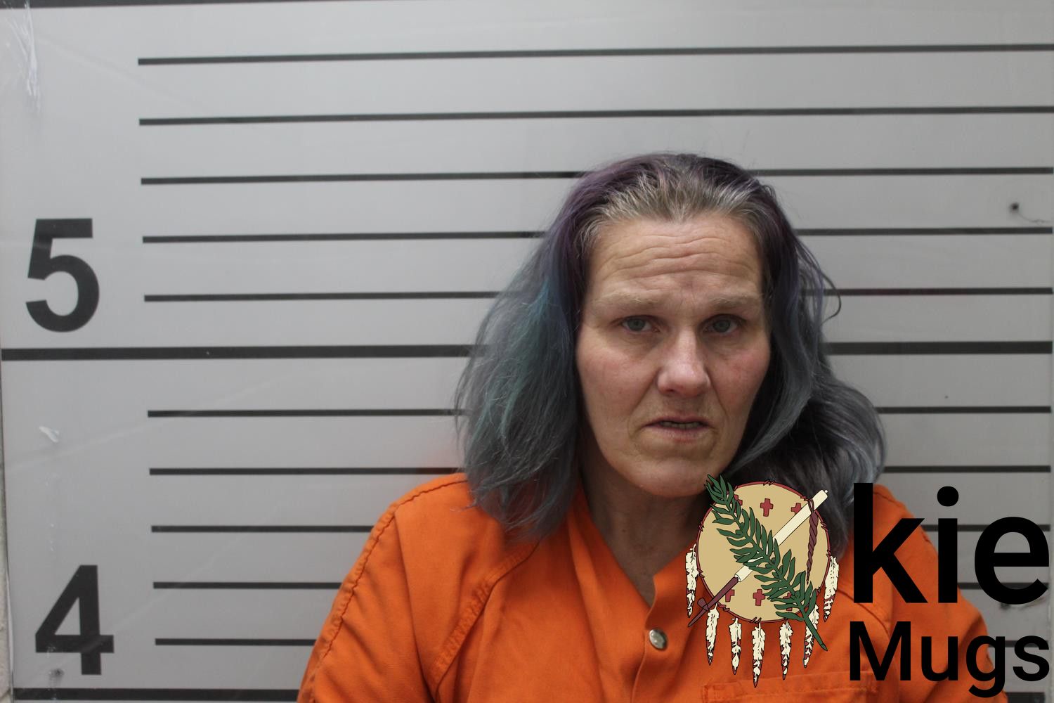 Booking photo of TERRA LYNNE TOMBLINSON