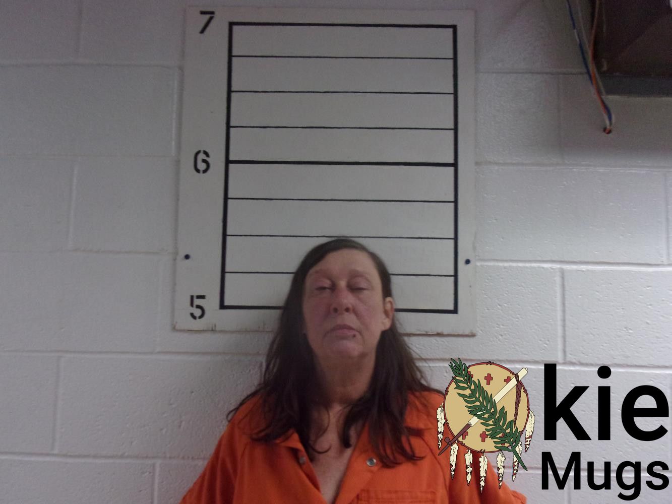 Booking photo of TERRI ANN TURNER
