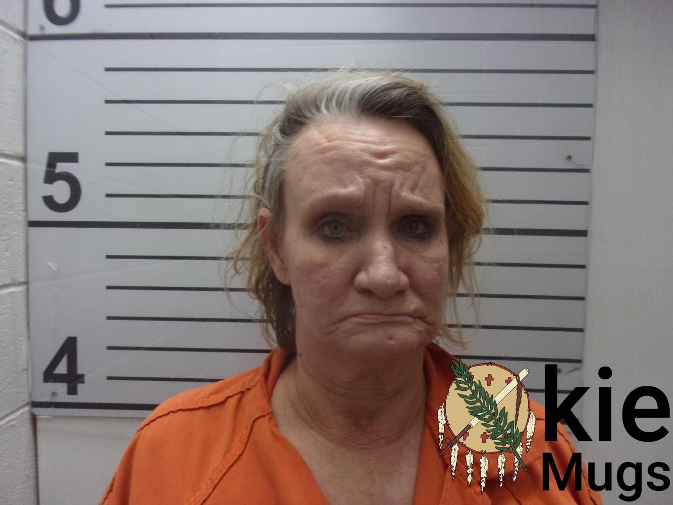 Booking photo of THERESA ANN MCDANIEL