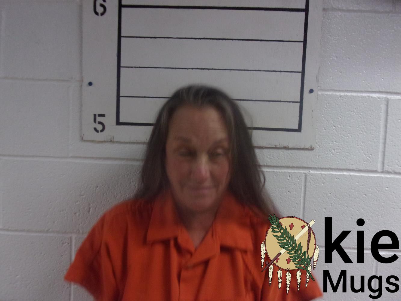 Booking photo of THERESA E HITCHCOCK