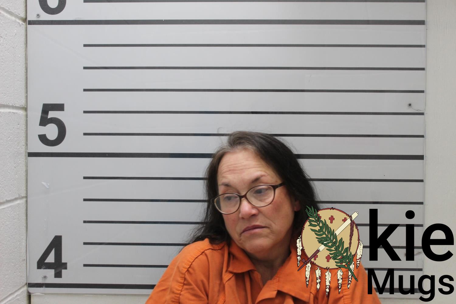 Booking photo of THERESA ELIZABETH HITCHCOCK