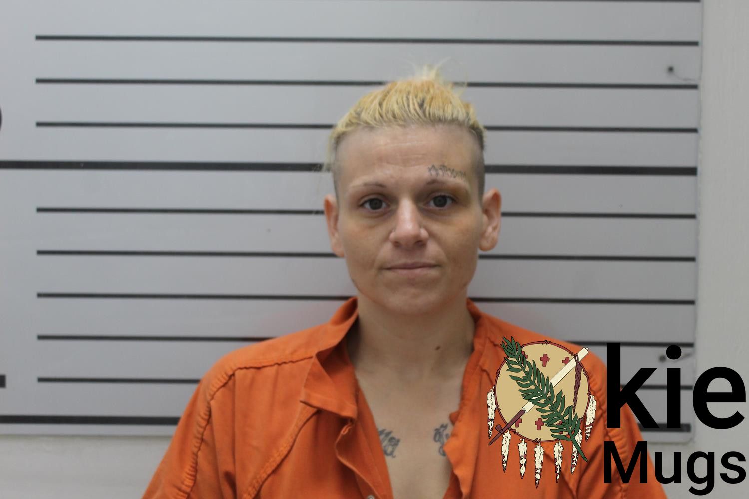 Booking photo of TIFFANY L YOUNG
