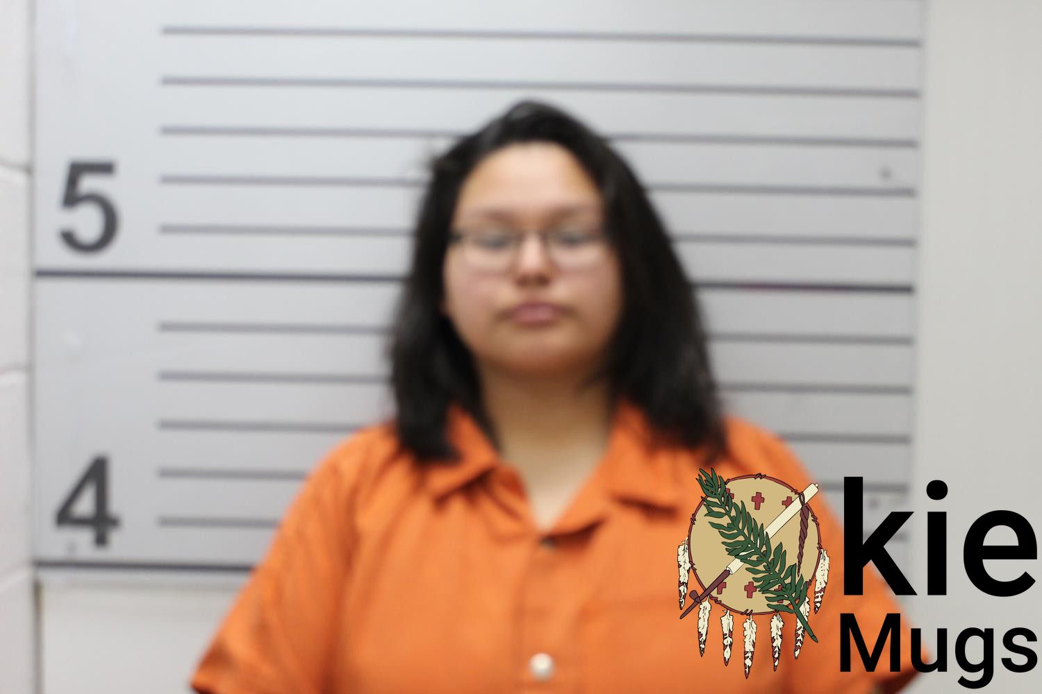 Booking photo of TOBY LYNN MEELY