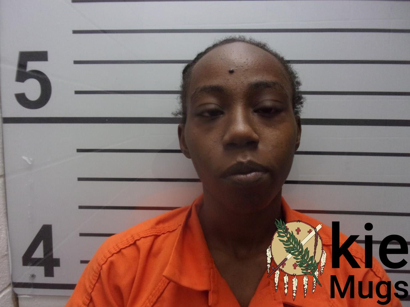 Booking photo of TOMIA ANN THOMPSON