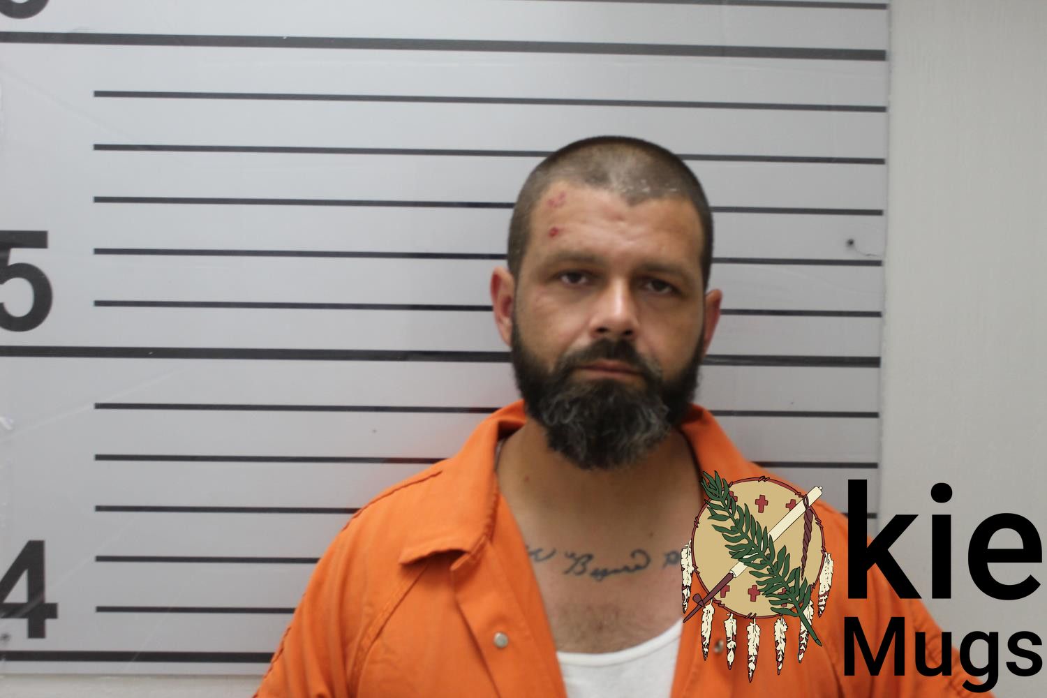Booking photo of TONY MARTIN LING