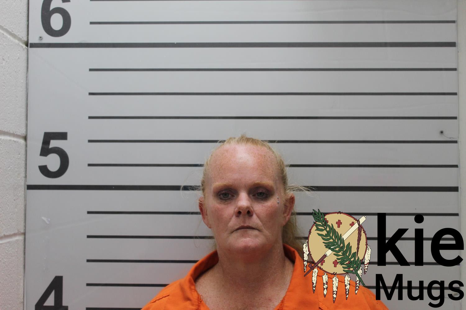 Booking photo of TRACI SISK