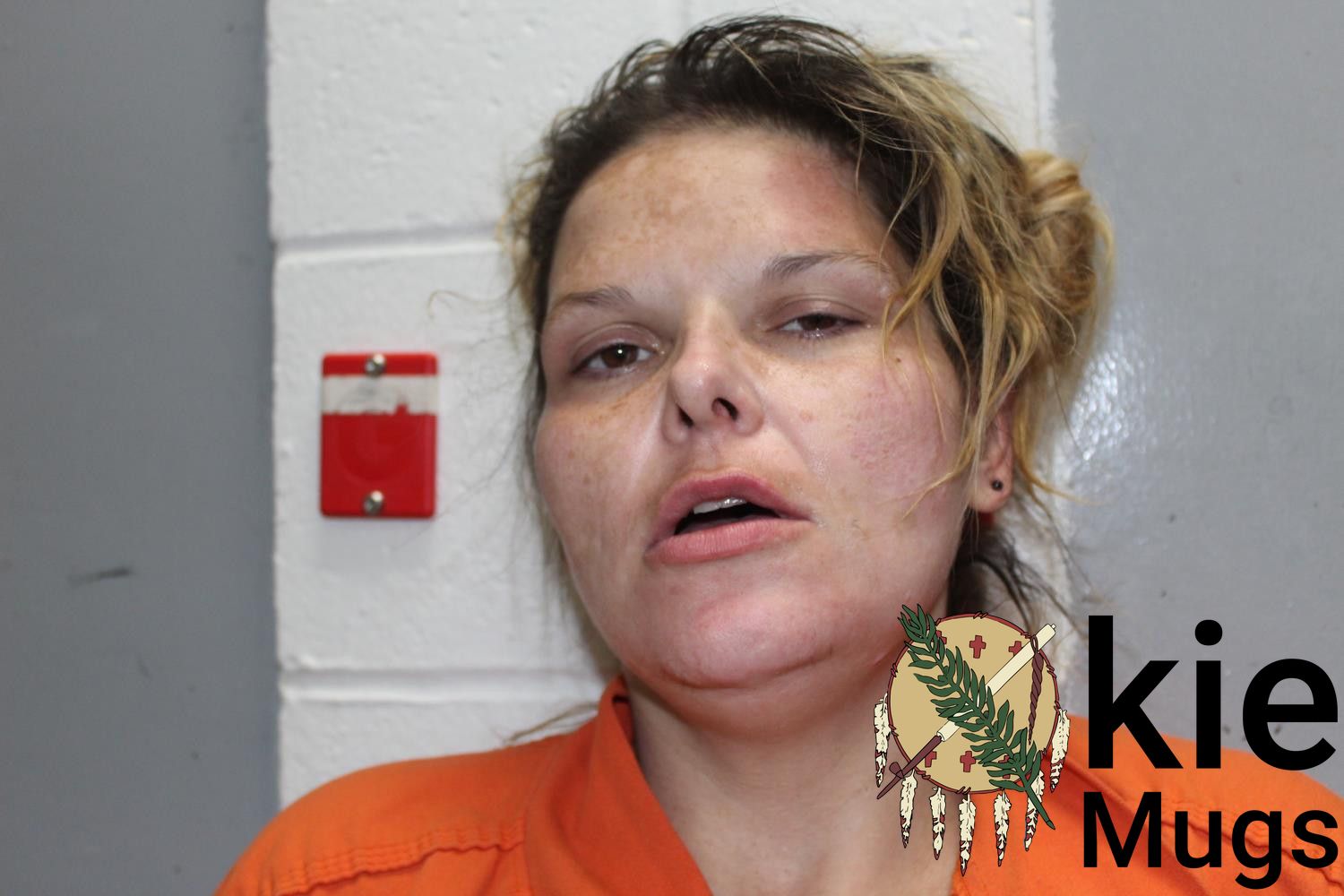 Booking photo of TRACY KAY GLASS