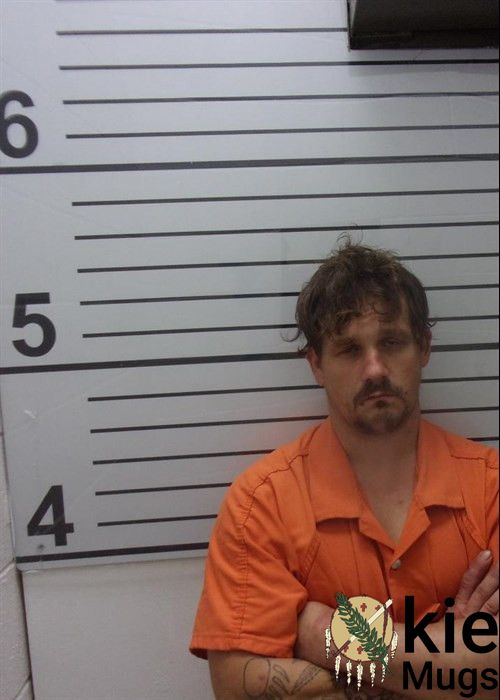 Booking photo of TREVOR DE WAYNE HENRY