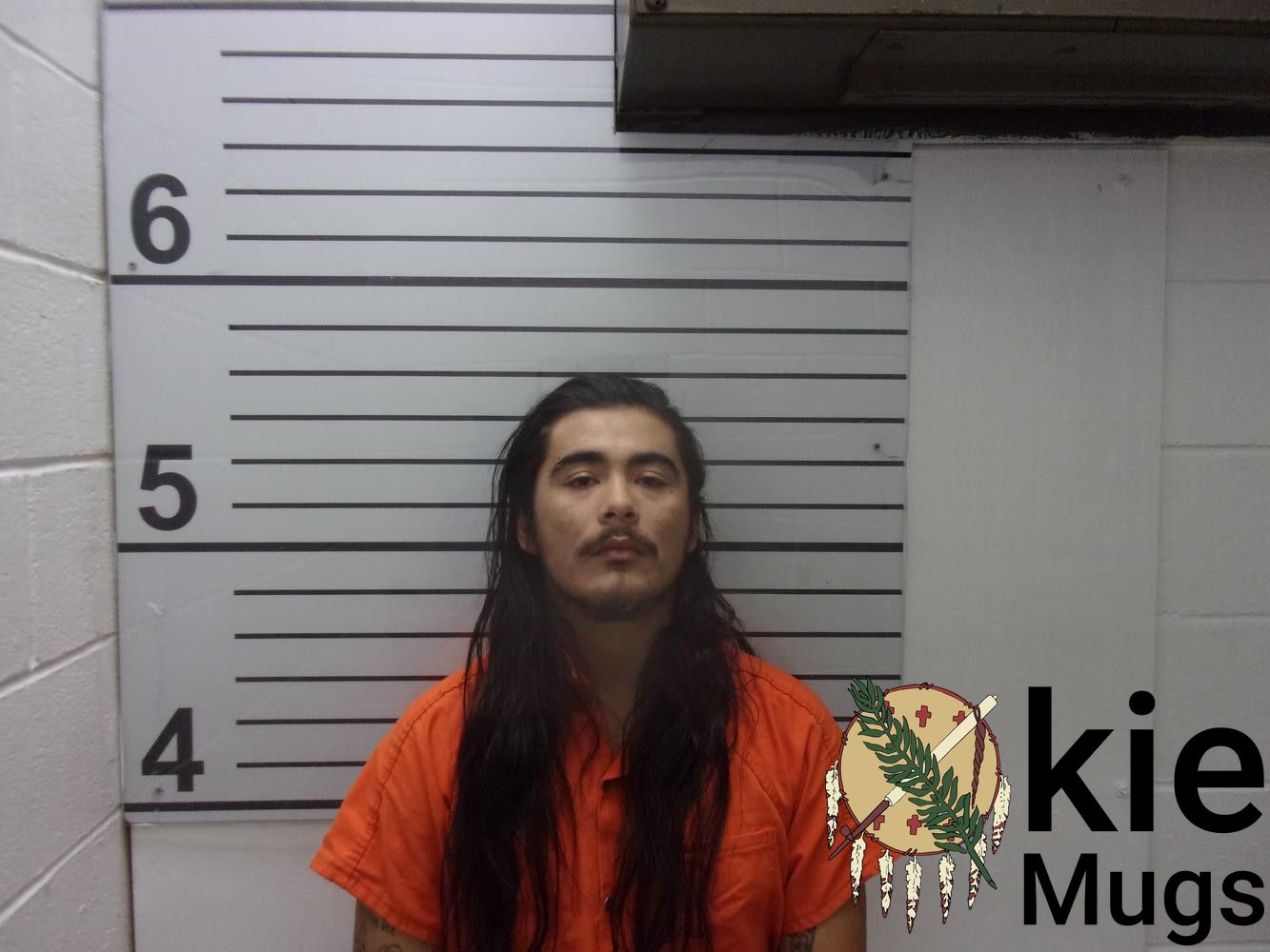 Booking photo of TROY DALE (CREEK) STROBLE