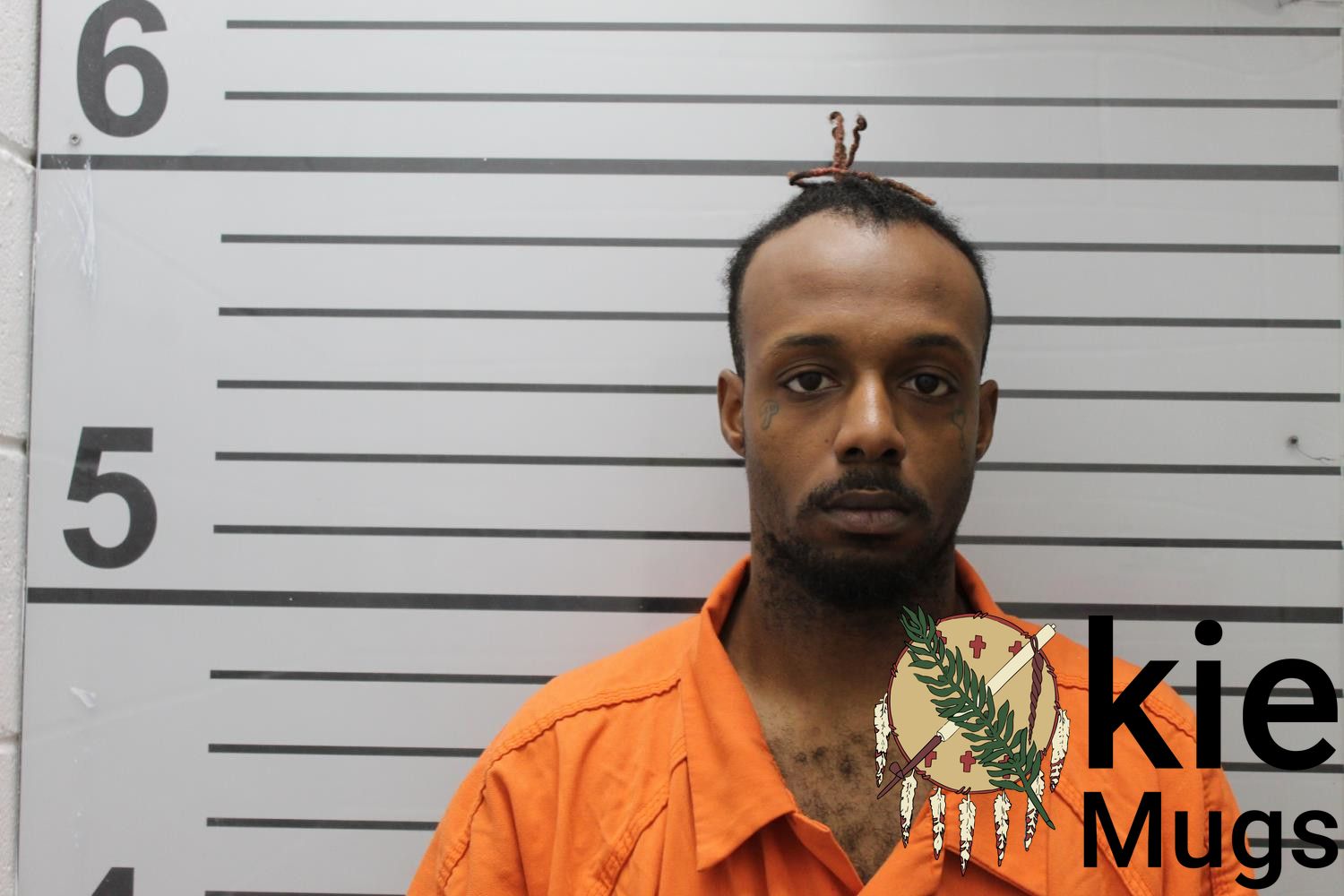 Booking photo of TYLER RAPHAEL WILSON