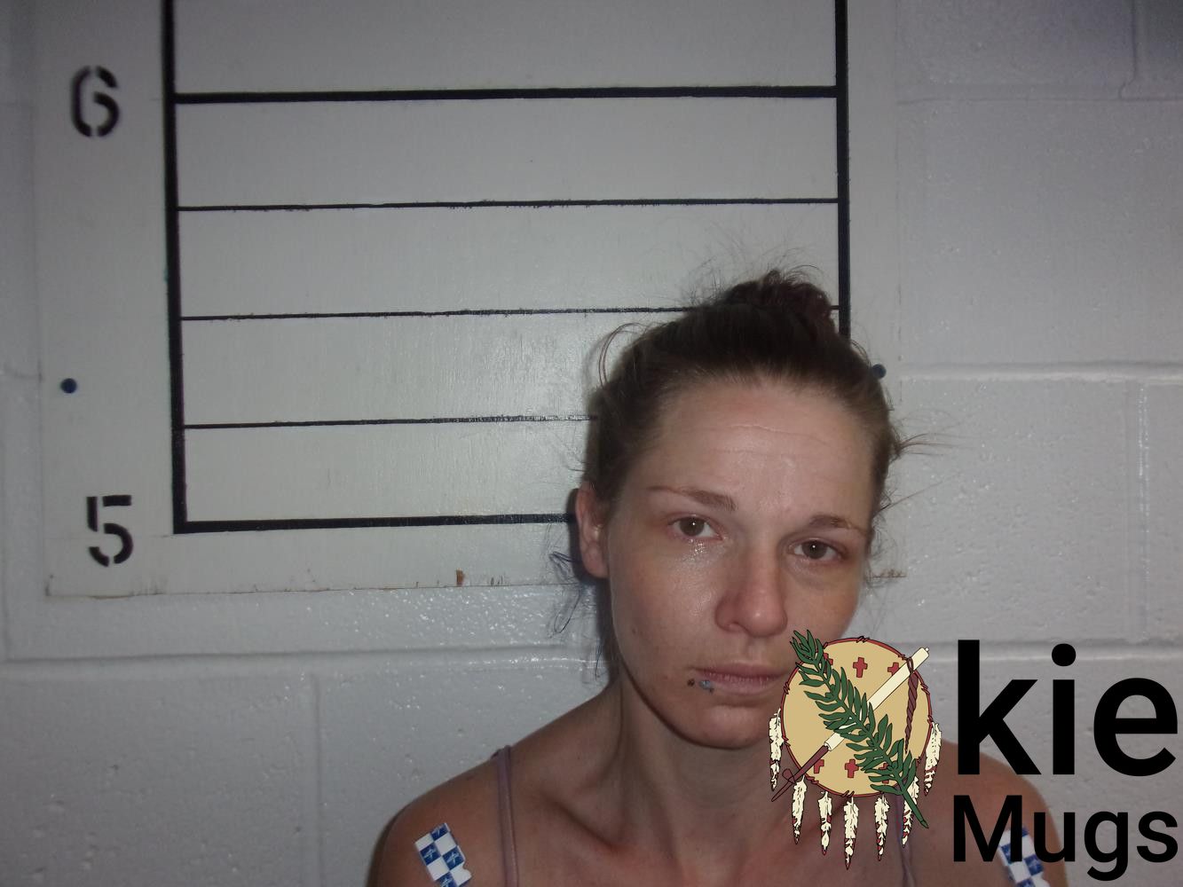 Booking photo of VANESSA GAIL CAMPBELL
