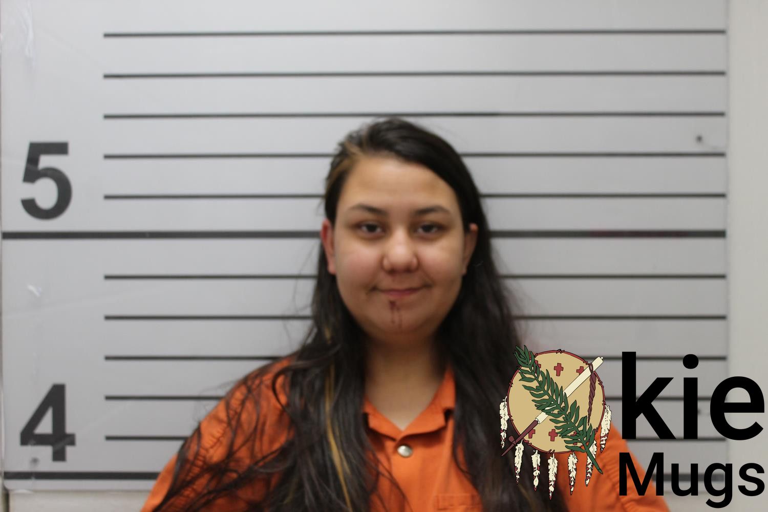 Booking photo of VANESSA JACKSON